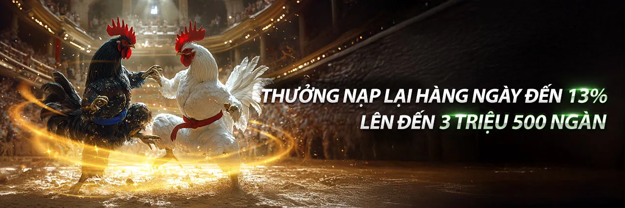 Hình ảnh tổng quan sang trọng của chương trình VIP hello 88